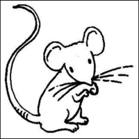 الزّائرةُ البيضاءُ