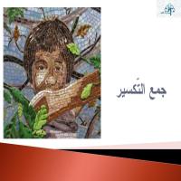 جمعُ التّـكسيرِ