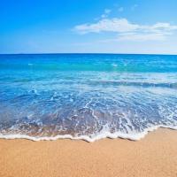 على الشّاطئِ