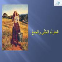 المفردُ، المثنّى والجمعُ