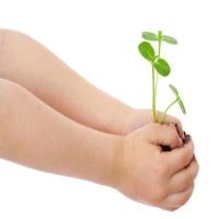 حمايةُ الطّبيعةِ