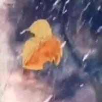 الورقةُ الأخيرةُ